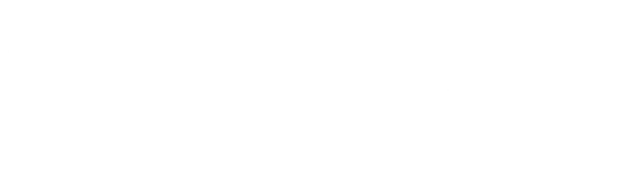 bloomreach