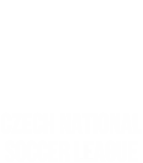 Czech national soccer league