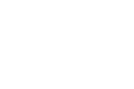 fenix-2